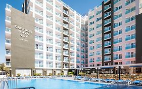 ALEGRIA Cartago Nova